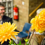 Oxford Ceramics Fair 2015, 